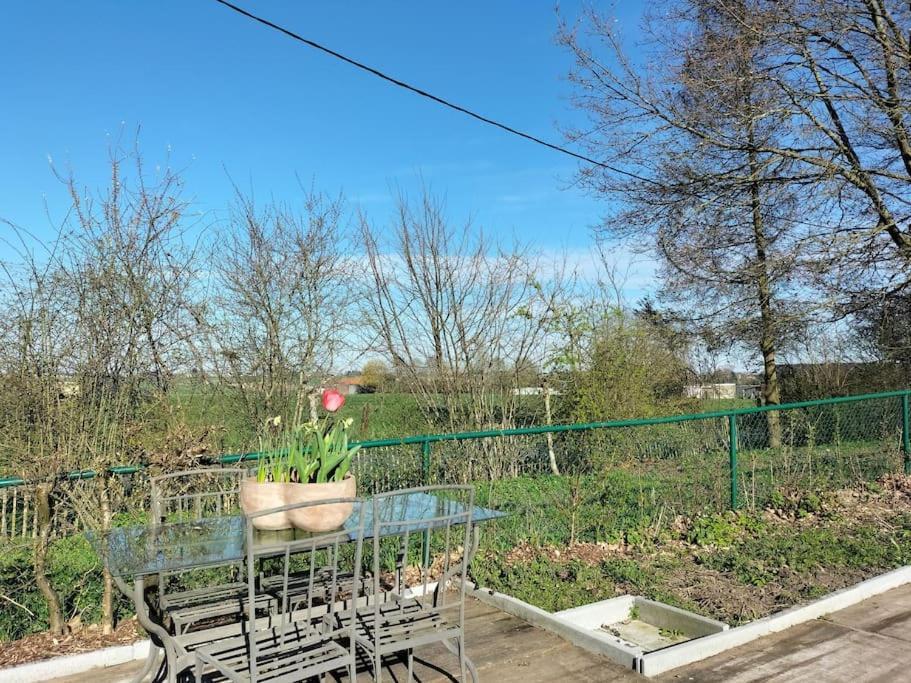 Gite Rural La Ferme Du Semeur-Zaaiershof Lessines 외부 사진
