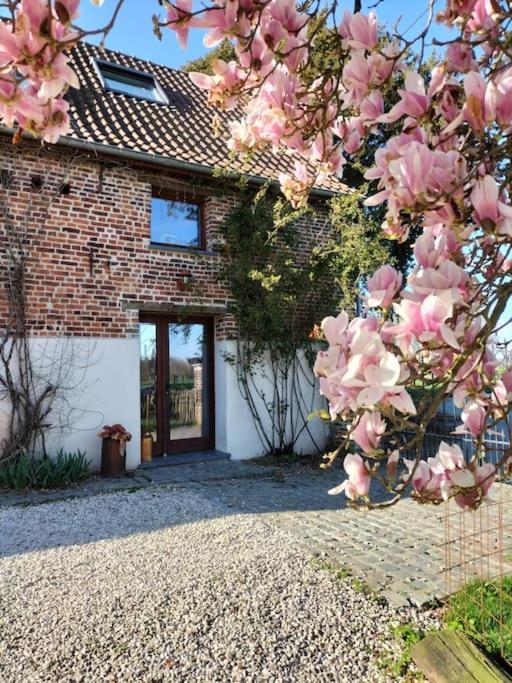 Gite Rural La Ferme Du Semeur-Zaaiershof Lessines 외부 사진