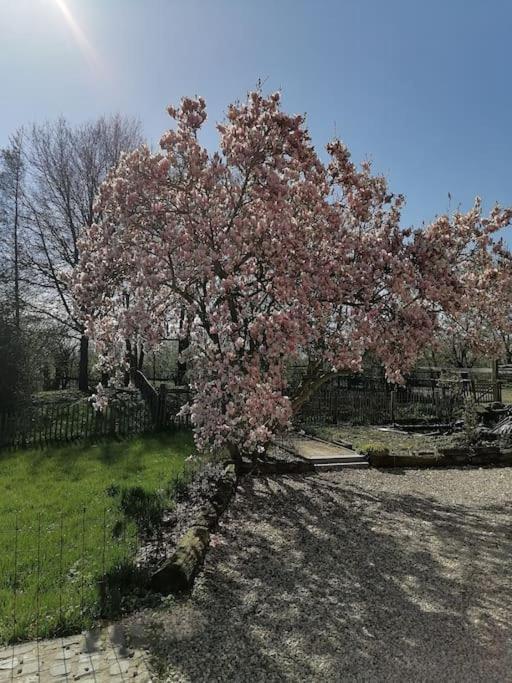 Gite Rural La Ferme Du Semeur-Zaaiershof Lessines 외부 사진