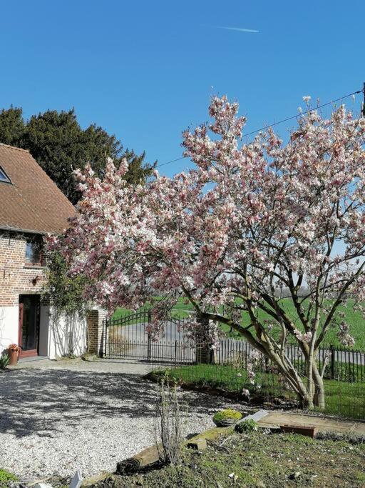 Gite Rural La Ferme Du Semeur-Zaaiershof Lessines 외부 사진